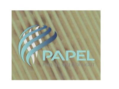 ساخت دستگاه برای تولید لوله-شرکت پاپل وارد کننده کاغذ فیلتر هوای سنگین و سبک و کاغذ فیلتر روغن سنگین و سبک 