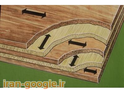 قالب بندی-واردکننده پلی وود چندلایی چوب تخته سه لایی