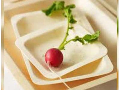پخش بست پلاستیکی- پخش ظروف یکبار مصرف  الیکاس و ظروف گیاهی املون