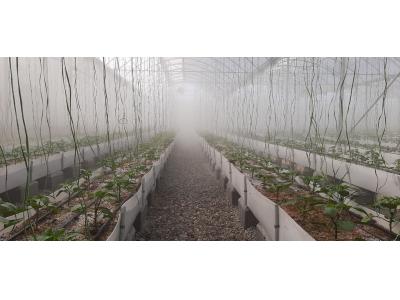 قطعات گلخانه-فروش انواع مه پاش صنعتی