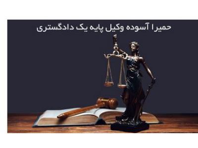 دعاوی حقوقی و کیفری-وکیل حقوقی و کیفری  و خانوادگی و مهاجرت در شرق تهران 
