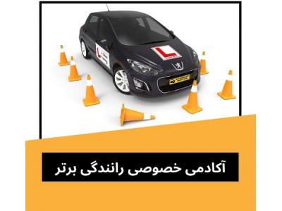 انواع سواری-آموزش خصوصی رانندگی در تهران