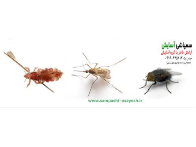 دفع حشرات-سمپاشي سوسک