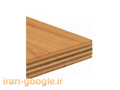 قالب بندی-واردکننده پلی وود چندلایی چوب تخته سه لایی