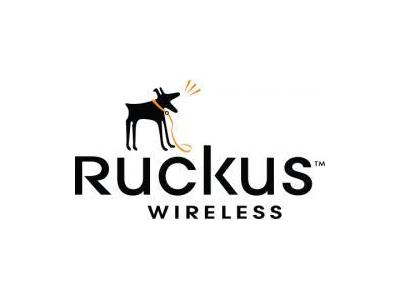 تعهد-فروش تجهیزات حرفه ای    Ruckus Wireless 